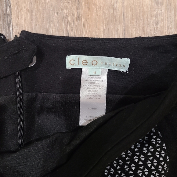 Cleo Petites Skirt and top - Picture 4 of 4